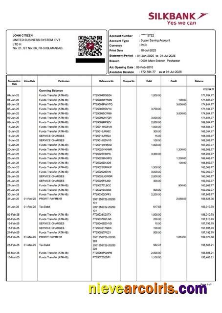 Pakistan Silkbank account statement Word and PDF
